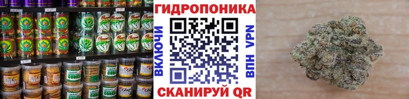Cannafood конопля  Кувшиново 