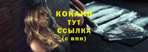 соль ск Арсеньев