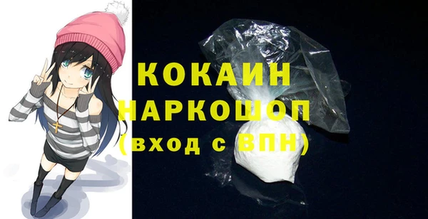 соль ск Арсеньев