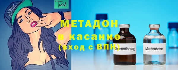 шишки Аркадак