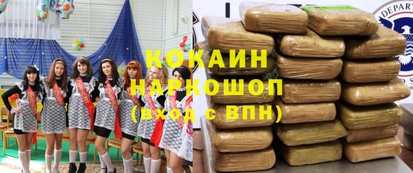 шишки Аркадак