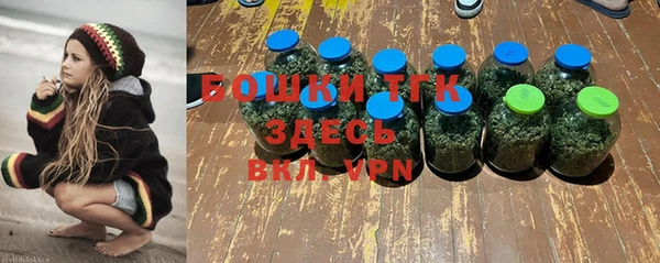 соль ск Арсеньев
