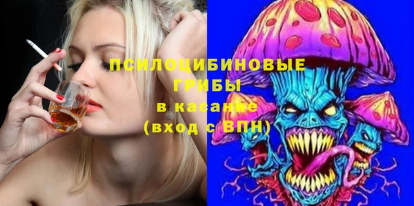 шишки Аркадак