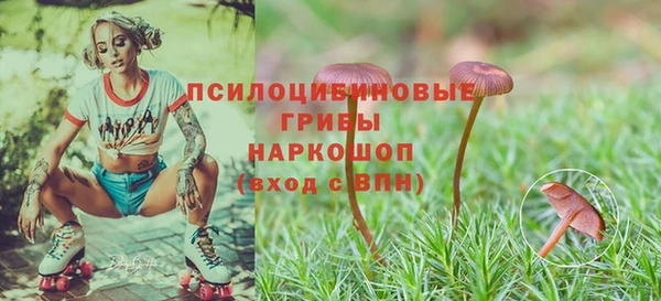 синтетический гашиш Армянск