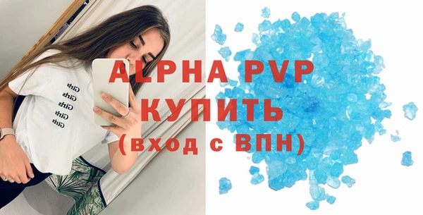 шишки Аркадак