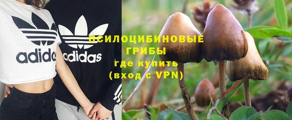 мет Баксан