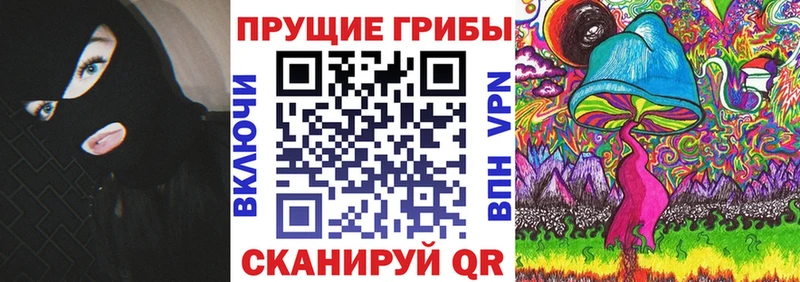 Галлюциногенные грибы Psilocybine cubensis  мега ССЫЛКА  Кувшиново 
