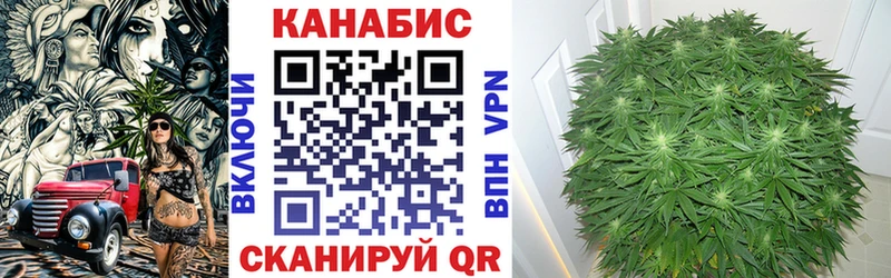Бошки марихуана семена Кувшиново